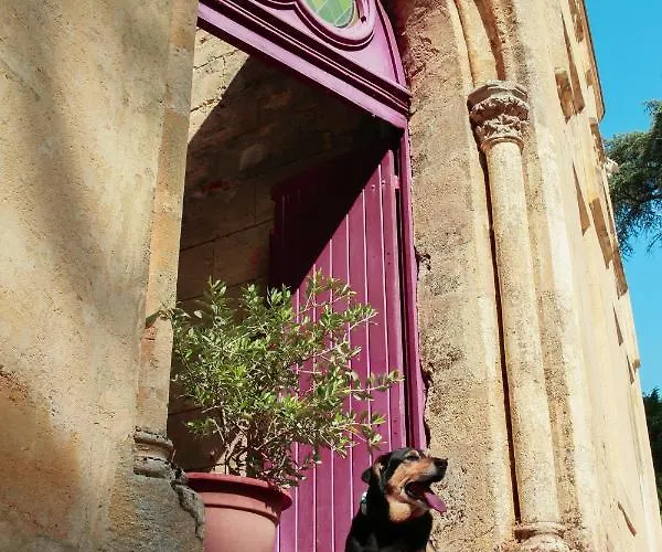 L'abbaye Du Chateau Du Vallier